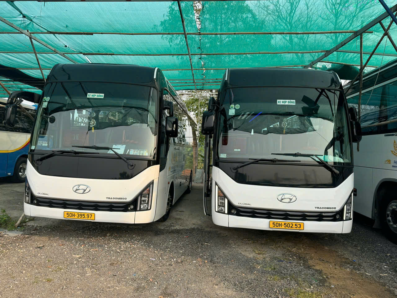 Thuê Xe 29 Chỗ Đi Cửa Khẩu Thomo